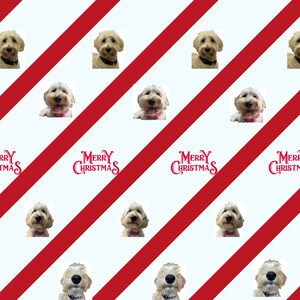 May include: A white and red striped background with a repeating pattern of a dog's face and the text "Merry Christmas".
