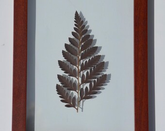 Brown fern frond in walnut 5x7 frame
