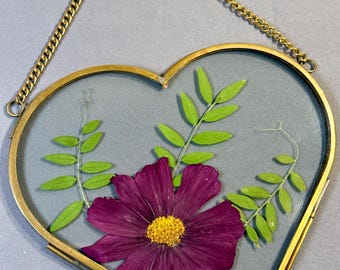 Purple cosmo with green foliage in brass 6x6 heart frame
