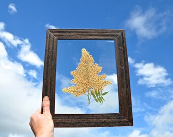 Cherry choke flowers in rustic 8x10 frame