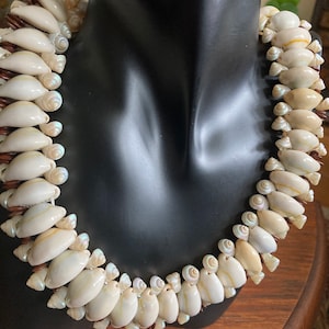 May include: A white shell necklace displayed on a black mannequin. The necklace features numerous white shells with iridescent accents, strung together with brown material. The shells are arranged in a layered pattern, creating a textured and eye-catching design.