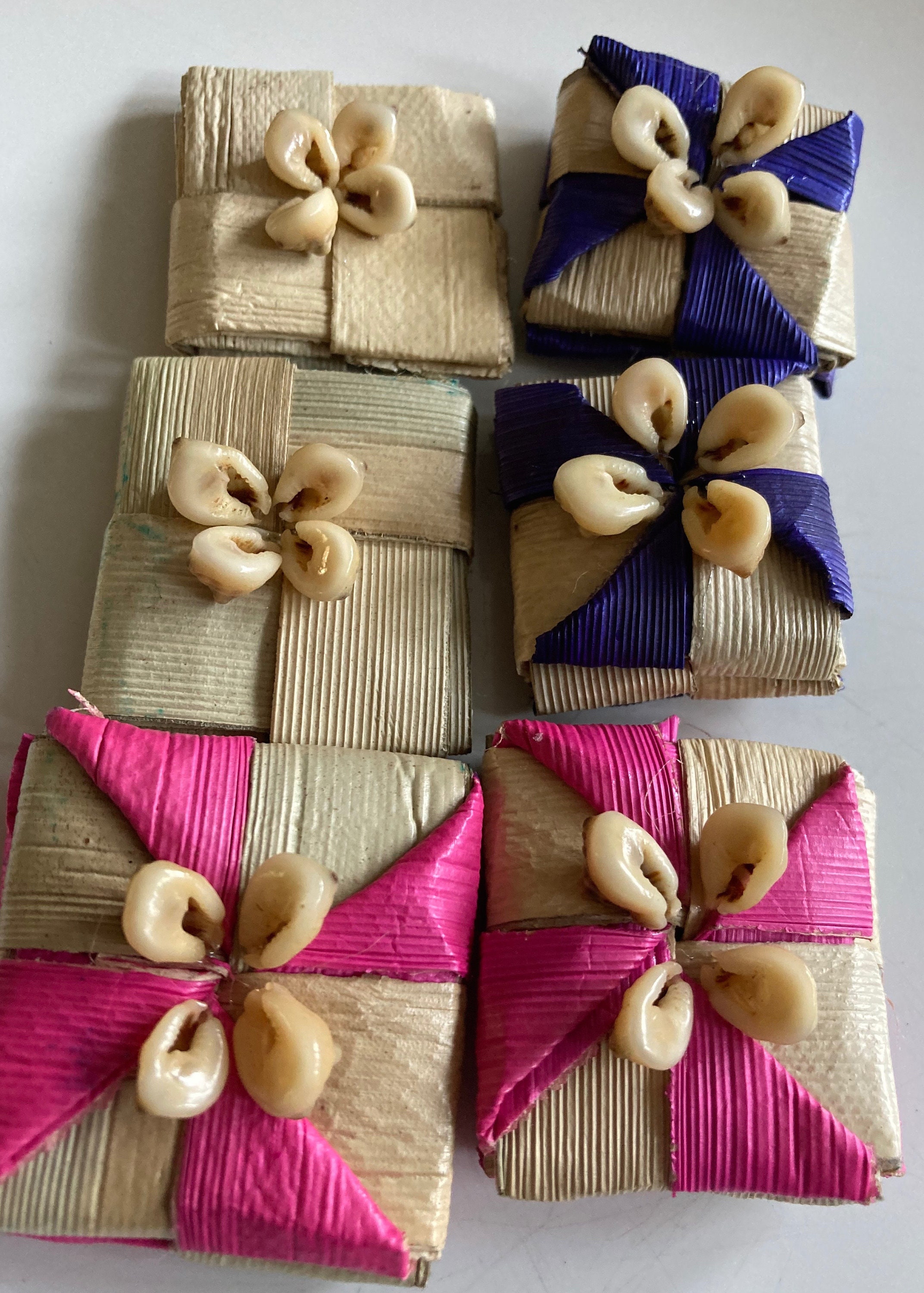 Tabugo Shell Tolai Tabu Shell Earrings: Handwoven Pandan Palm, Papua New Guinea ...