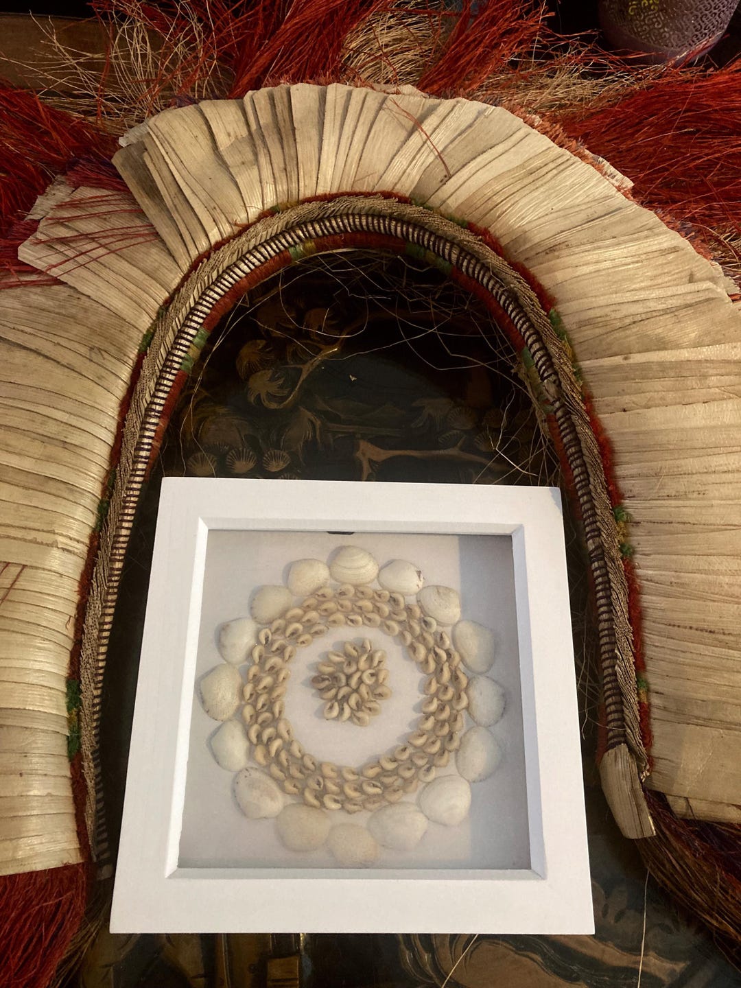 Tabugo Shell Tabu Shell Money Shadowbox - Tolai Spiritual Currency Wall Art - Etsy