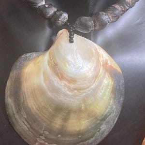 Bilas pigs tusk and shiny Kina shell money jewellery. Papua New Guinea valuable Kina shell money ceremonial necklaces with wild seeds.