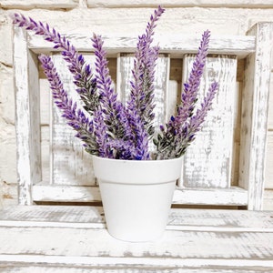May include: A bunch of purple lavender flowers in a white ceramic pot. The pot is sitting on a white wooden shelf.