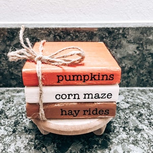May include: A stack of three wooden blocks with fall-themed words: pumpkins, corn maze, and hay rides. The blocks are painted in orange, white, and brown, and are tied together with twine.