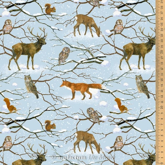 Beautiful Winter Pictures With Animals