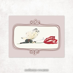 Könnte beinhalten: Aquarellillustration eines Schmetterlings und einer roten Tulpe. Der Schmetterling hat weiße Flügel mit schwarzen Punkten und einen schwarzen Körper. Die Tulpe ist rot mit weißen Akzenten. Das Bild ist mit einem dekorativen Rahmen und dem Text "acufactum UTE MENZE" versehen.