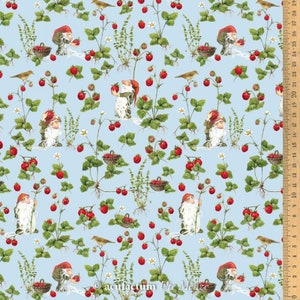 Acufactum cotton fabric strawberry weight 1.45 m wide design by Daniela Drescher