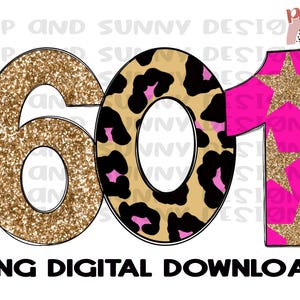 Könnte beinhalten: Goldene Glitzerzahl Sechs, eine Leopardenmuster-Null und eine pinkfarbene Eins mit goldenen Glitzersternen. Die Zahlen sind schwarz umrandet.