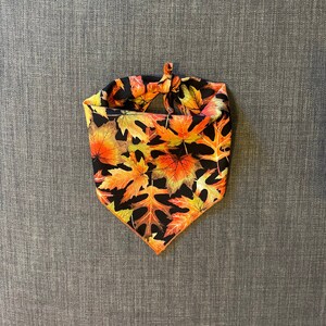 Fall Dog Bandana, Hojas Dog Bandana, Tie On Dog Bandana, Fall Bandana