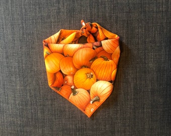 Fall Dog Bandana, Pumpkin Dog Bandana, Pumpkin Spice, Tie On Bandana