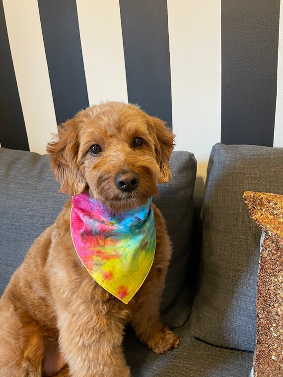 tie dye bandana for dogs