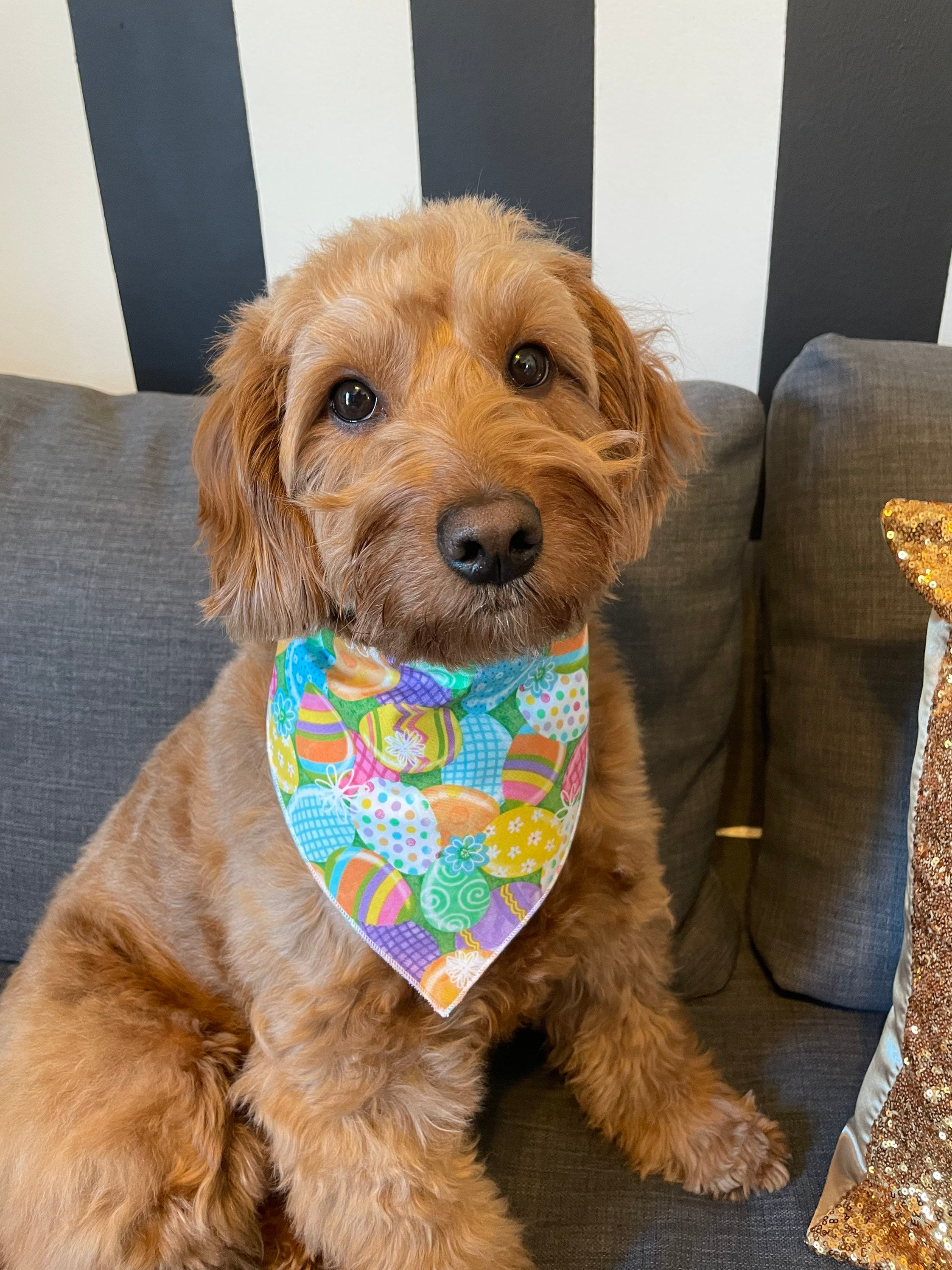 Dog Bandana Easter Dog Bandana Tie on Bandana Easter Bunny Etsy