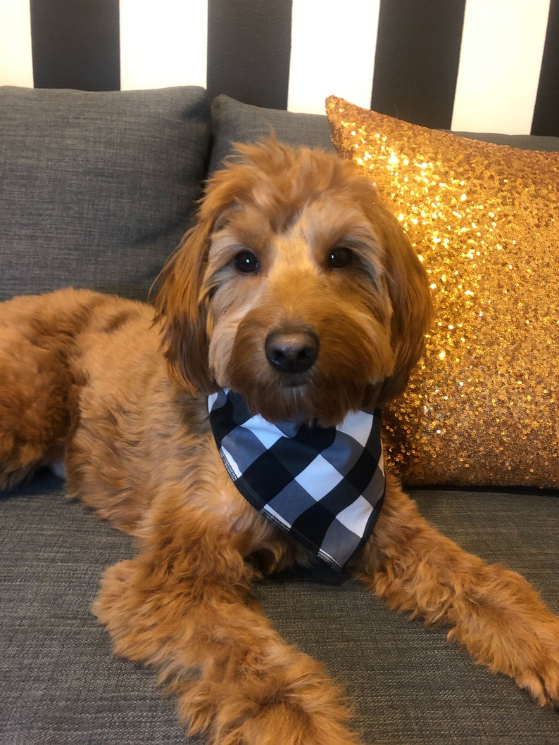 Dog Bandana Black Gingham Tie on Bandana Black and White Etsy