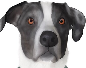 Custom Digital Pet Portrait