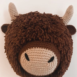 Highland Cow - Crochet Animal Head Wall Hanging