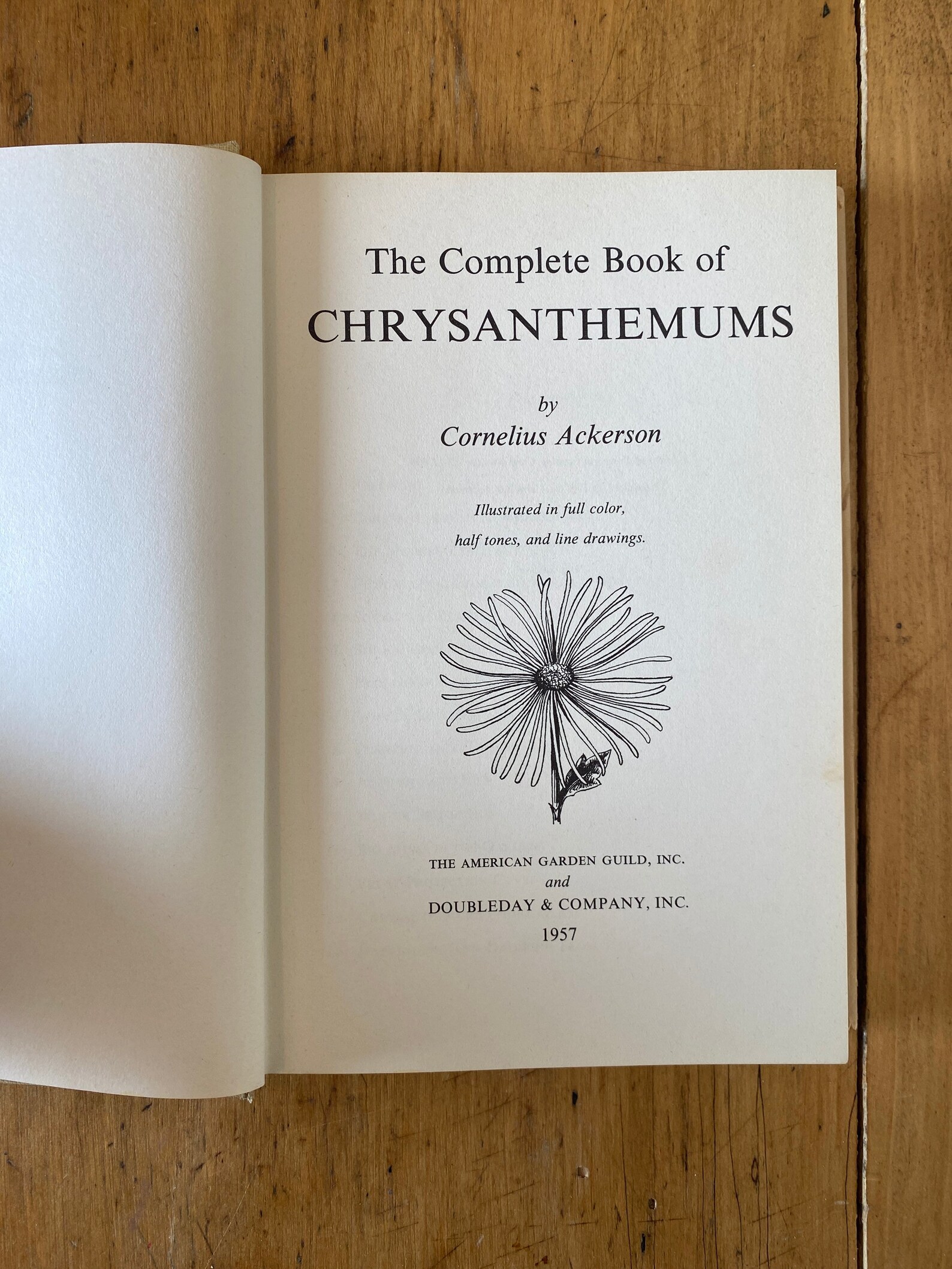 The Complete Book of Chrysanthemums Etsy
