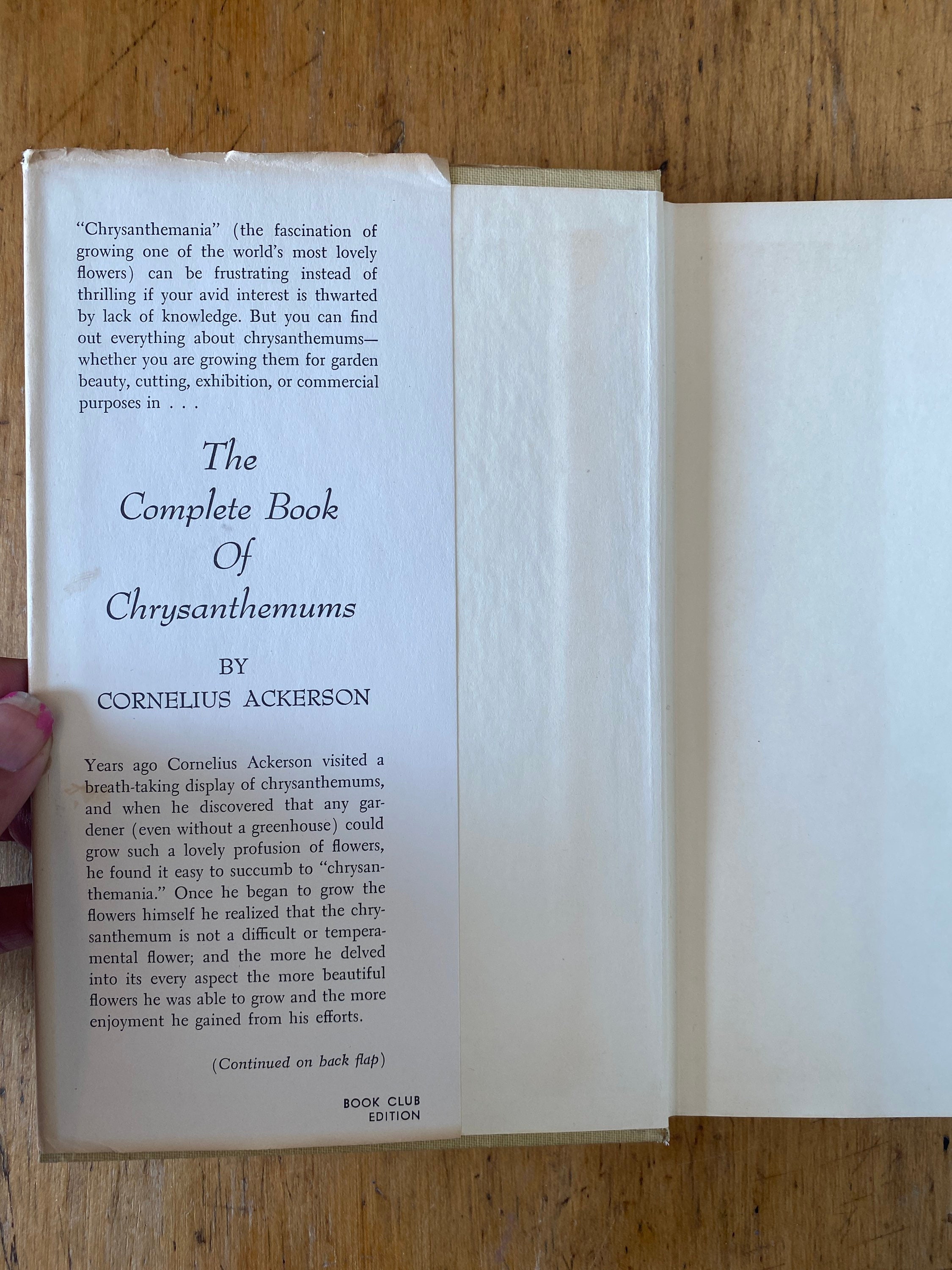 The Complete Book of Chrysanthemums Etsy 日本