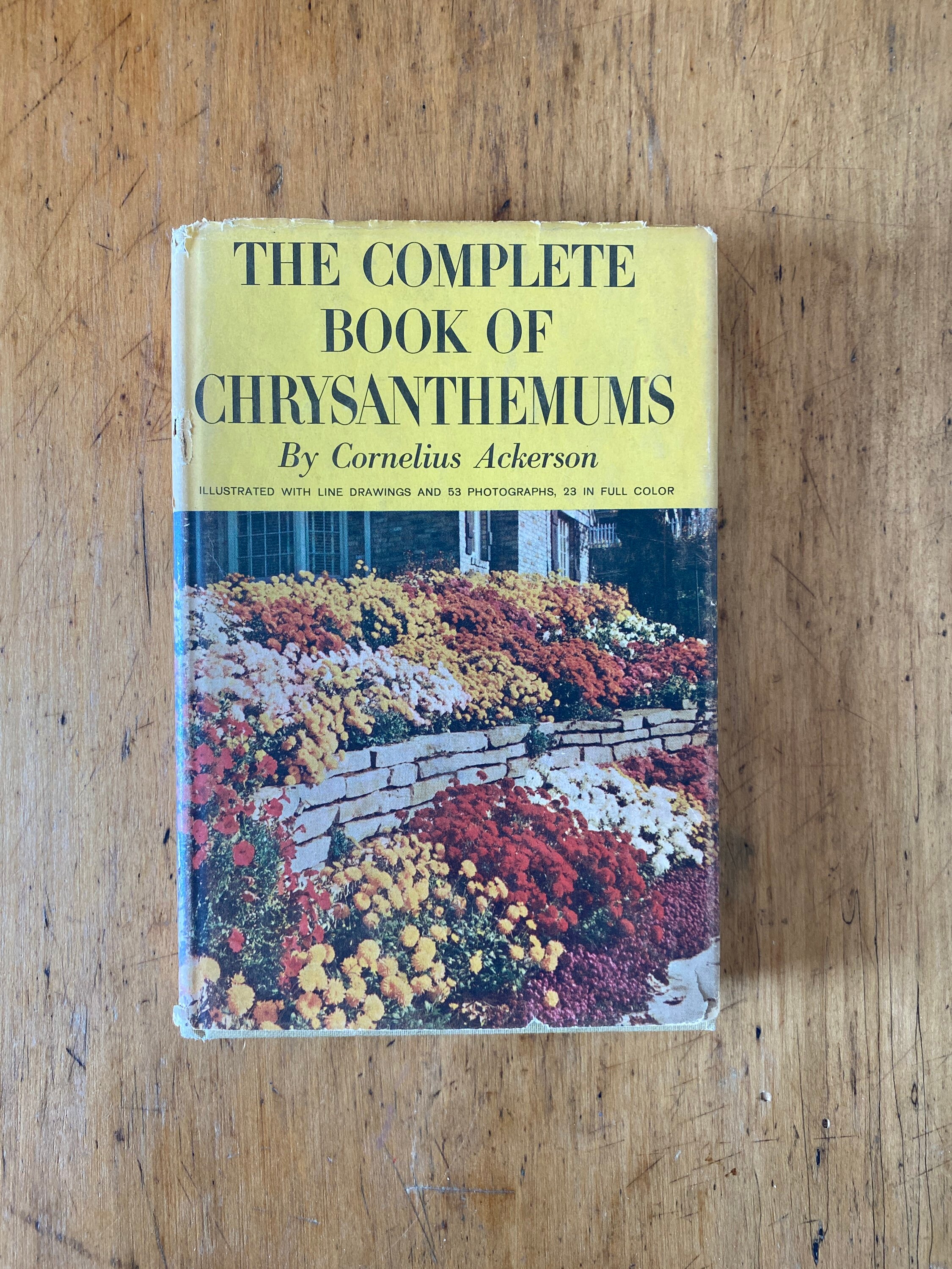 The Complete Book of Chrysanthemums Etsy 日本