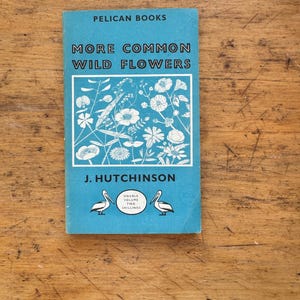 More Common Wildflowers