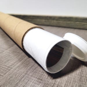 May include: A brown cardboard tube with a white paper lining and a white plastic lid. The tube is partially open, revealing the white paper lining.