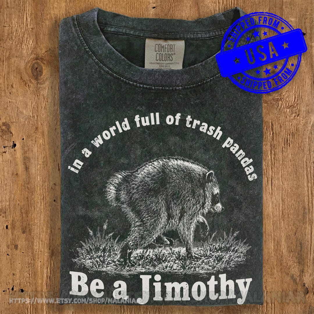 Be A Jimothy Raccoon Shirt, In A World Full Of Trash Pandas T-Shirt, Vintage Comfort Color