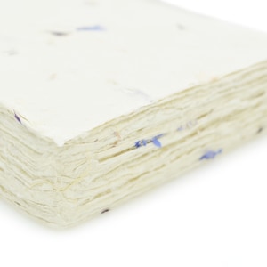 May include: A stack of rectangular, off-white handmade paper sheets with a rough, deckled edge. The paper has a textured surface embedded with small, dried blue cornflower petals scattered throughout the layers and on the top sheet.