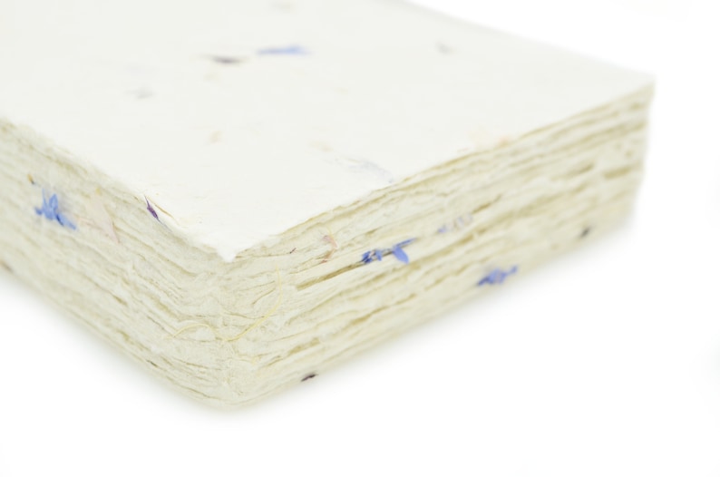 May include: A stack of rectangular, off-white handmade paper sheets with a rough, deckled edge. The paper has a textured surface embedded with small, dried blue cornflower petals scattered throughout the layers and on the top sheet.