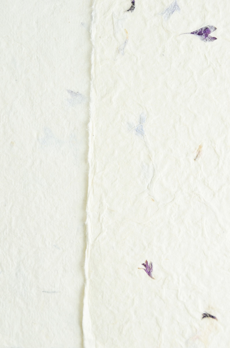 May include: A sheet of off-white handmade paper with a rough, deckled edge running vertically down the center. The paper has a textured, fibrous surface embedded with small, scattered purple and blue dried flower petals throughout the material.
