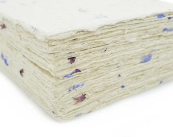 5x7 Inch Handmade Lokta Card Stock Paper with Deckle Edge and Cornflower Petals. Vintage Stationery, Decorative Printing, and Invitations.
