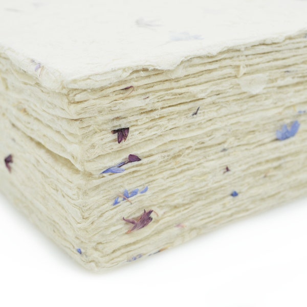 Handmade Lokta Card Stock Paper: 5x7 Cornflower Petals, Deckle Edge