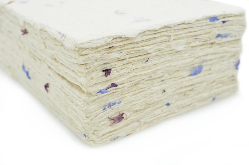 Handmade Lokta Card Stock Paper: 5x7 Cornflower Petals, Deckle Edge 100 Sheets