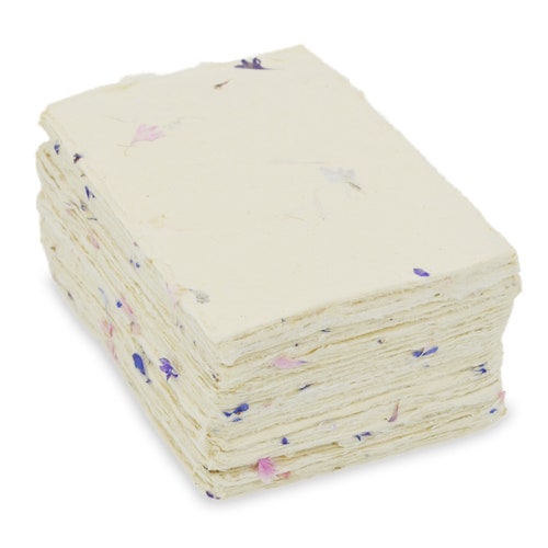 Papier Lokta fait main : pétales de bleuet, bordure taupe (4 x 6 pouces)