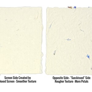 May include: Two rectangular sheets of off-white handmade paper with deckled edges. The left sheet is labeled Screen Side Created by Boxed Screen - Smoother Texture. The right sheet features embedded blue petals and is labeled Opposite Side - Sun-kissed Side Rougher Texture - More Petals.