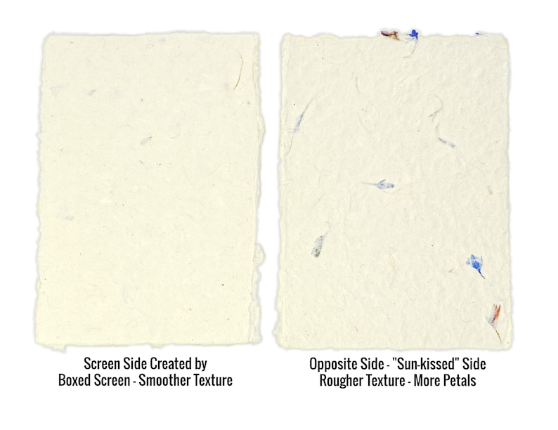 May include: Two rectangular sheets of off-white handmade paper with deckled edges. The left sheet is labeled Screen Side Created by Boxed Screen - Smoother Texture. The right sheet features embedded blue petals and is labeled Opposite Side - Sun-kissed Side Rougher Texture - More Petals.