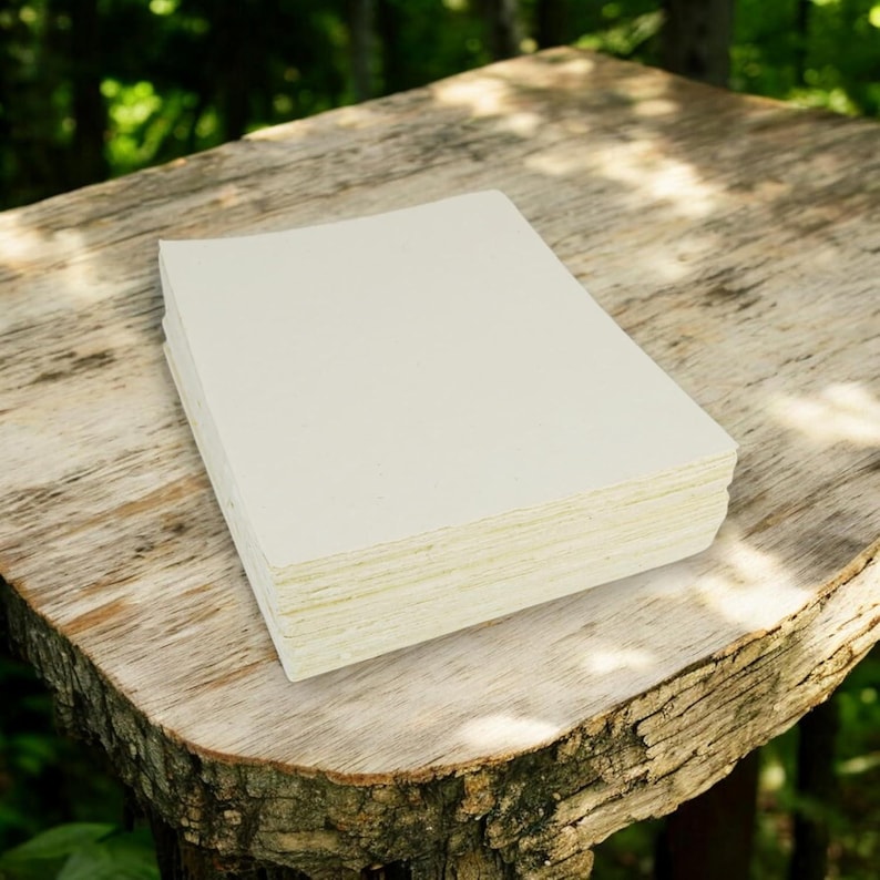 Papel cartulina Lokta de lujo hecho a mano: bordes desbarbados, sin árboles (8,5 x 11 pulgadas) imagen 2