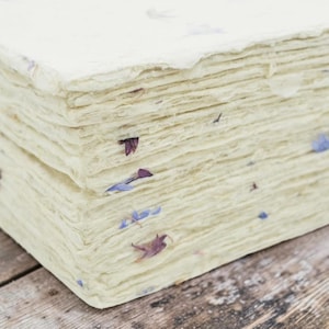 May include: A thick stack of off-white handmade paper sheets with rough, deckled edges. The paper has a fibrous, textured surface and is embedded with small, dried purple and blue flower petals scattered throughout the layers of the paper stack.