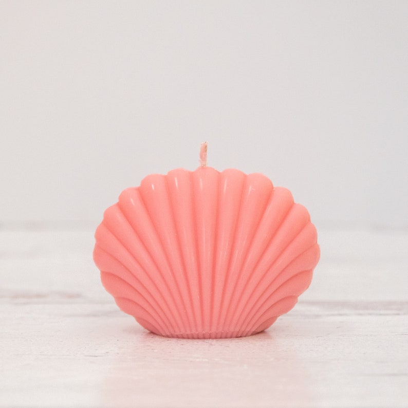 Seashell Candle Etsy