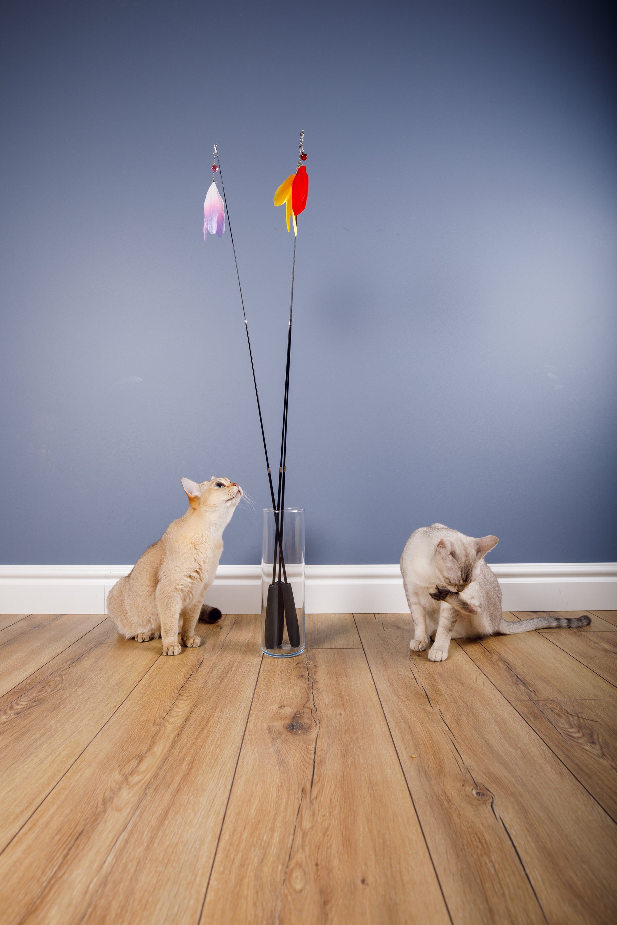 96 Cm Long Cat Teaser Cat Toy Cat Wand Interactive Cat Etsy