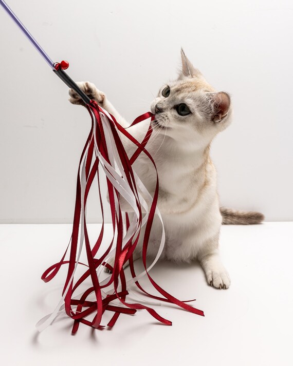 Buy 50 Cm Cat Teaser Ribbon Cat Toy Cat Wand Interactive Cat Toy Proffesional Teasers Cat Teasers for Show Kitten Toy Online in India Etsy