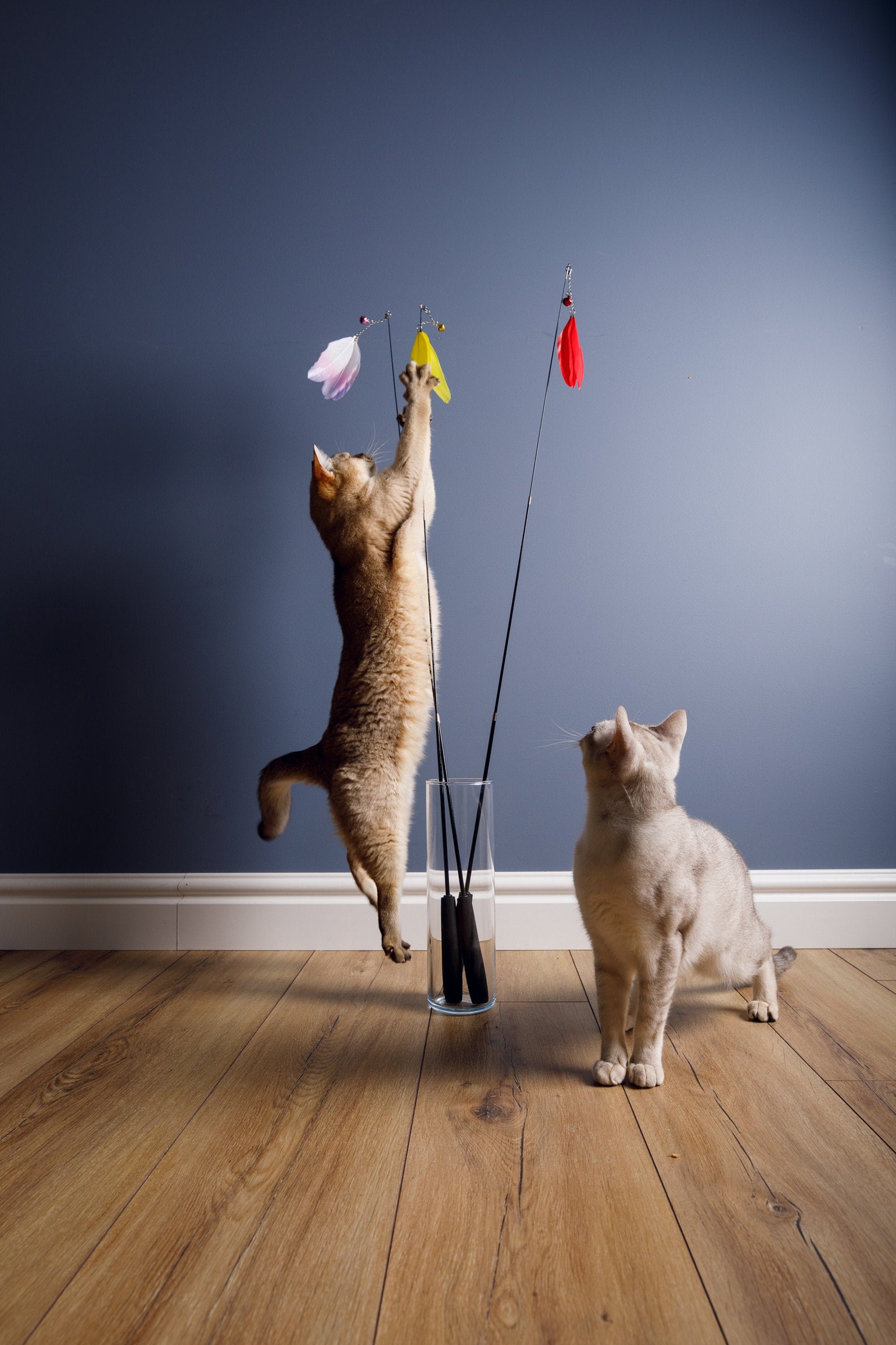 96 Cm Long Cat Teaser Cat Toy Cat Wand Interactive Cat Etsy
