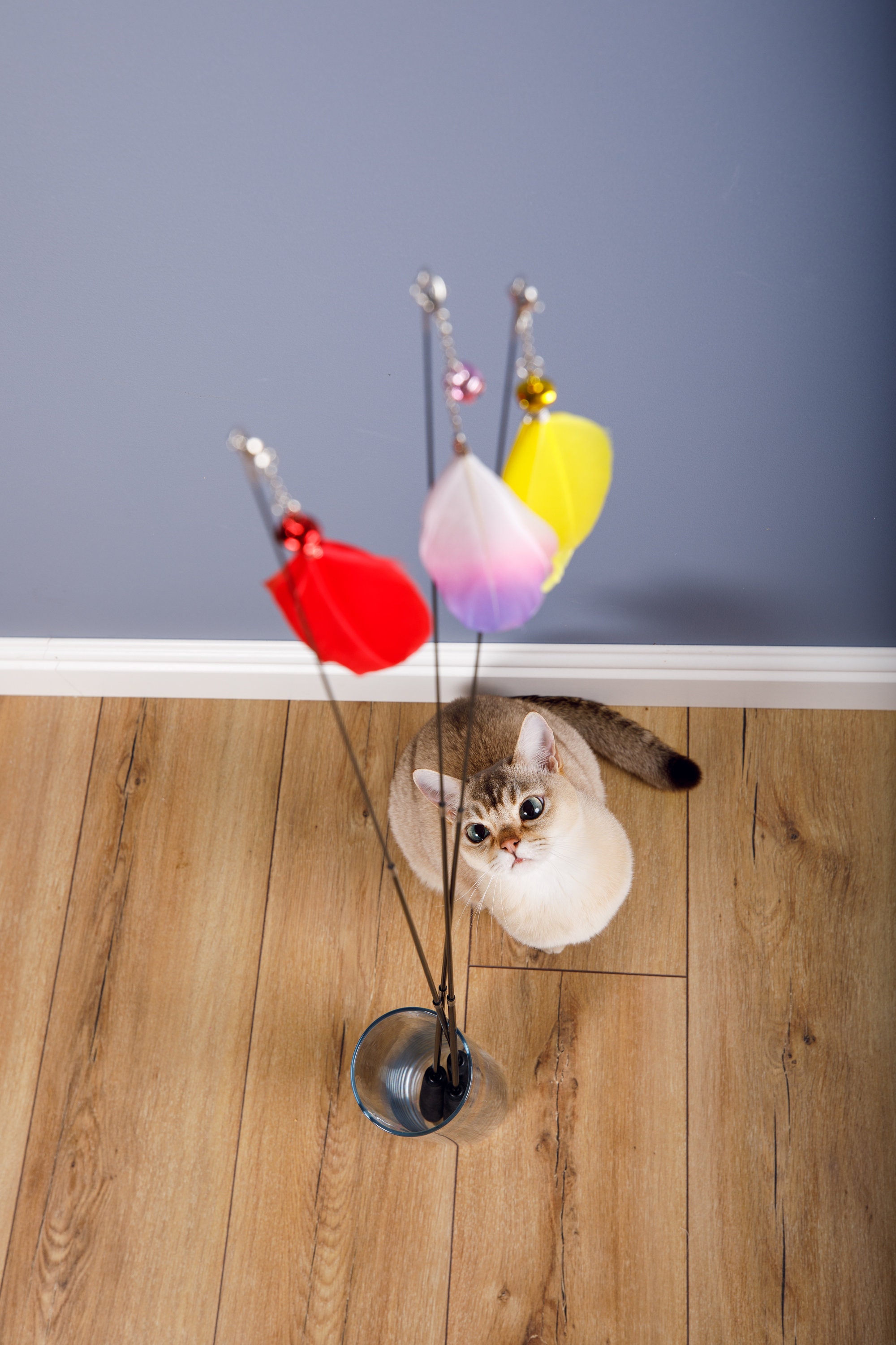 96 Cm Long Cat Teaser Cat Toy Cat Wand Interactive Cat Etsy