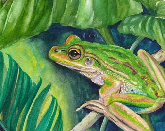 Green Frog Art Print; 8x10 inch; Australian Frog; Native animals; Watercolour animals; Gift for nature lover