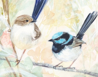 Fairy Wren Art Print; 7x10 inch; Watercolour painting; Bird art; Australian birds; Nature prints; Australian bird art; Beautiful birds