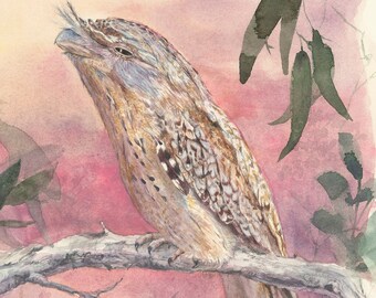 Australian Bird; 8x10 inch; Tawny Frogmouth; Watercolour fine art print; Watercolour art; Art gift for nature lover; Australian art