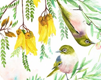 Silvereye Print; Birds and Flower art; Watercolour art; Bird art; Australian birds; Art gift for nature lover; 8x10 inch; A3; A2