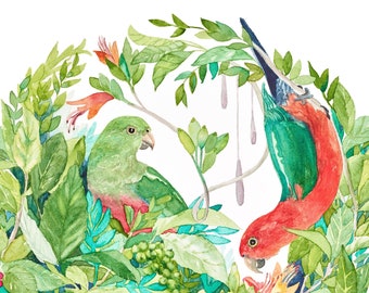 King Parrot print; 8x10 inch; Watercolour bird; Bird art; Australian birds; Australian art; Art gift for nature lover