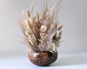 Composition of dried flowers natural coconut shell Grain of Salt.