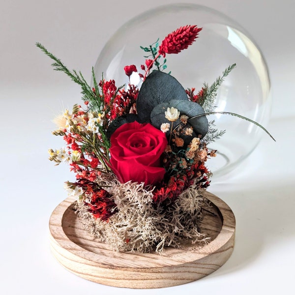 Cloche en verre et fleurs éternelles rouges pour décoration d’intérieur, Amor